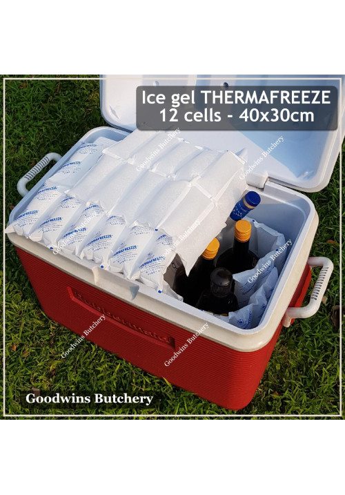 Ice gel THERMAFREEZE pengganti es batu THERMA FREEZE rectangle frozen (price/cell)